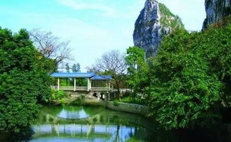 核心区域探索：你觉对想不到的惊喜