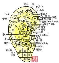 噪音篇——那一些被忽略的较小细节
