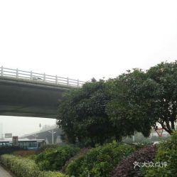 三、 东山文化休闲广场：多元化空间，精彩纷呈