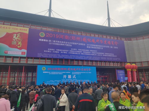 郑州殡葬新风尚：传统与现代交融，爆款殡葬文化体验