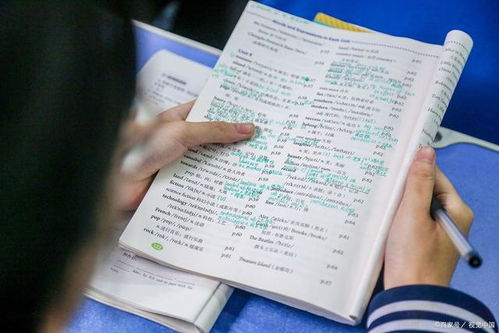 一、开学日与生肖的缘分——谁是最幸运的属相？