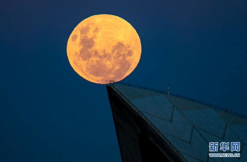 直播搞得跟过年似的