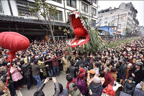 毛格斯：鬼魅祭典