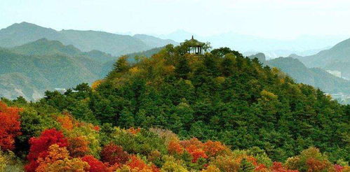 第三章：香炉山五彩瑶池——彩虹水池与彩色树木的奇幻组合