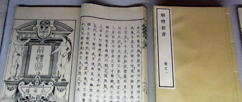 天啊！童子命和红颜薄命的惊天秘密！2026年大揭秘！