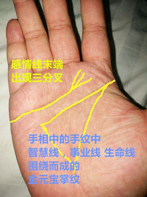 2. 心碎成二维码