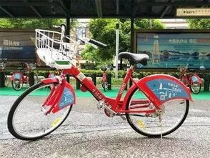 解锁瞬间：光与影的对话