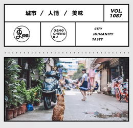 交通住宿の魔幻现实主义