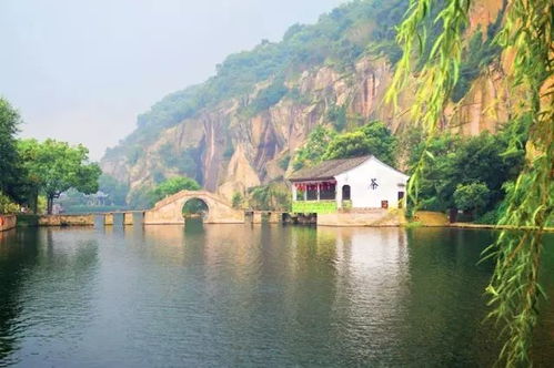 吃货地狱：醉鸡配黄酒，喝完变疯狗