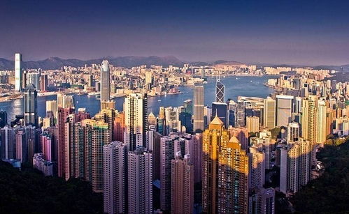 惯与交通的那些糟心事