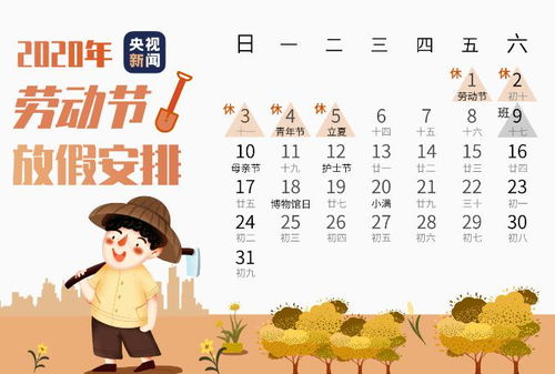 交通运输指南：怎样迅速抵达目的地