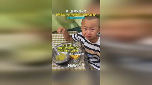 真实相的碎片