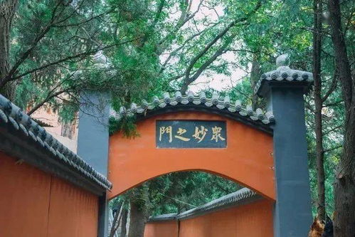 景点介绍:感受嘉定深厚的历史文化
