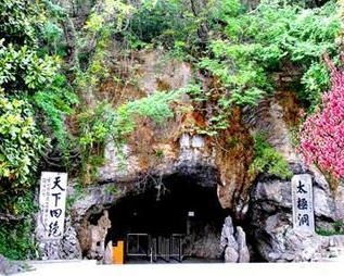 3. 当地旅游平台/旅行社