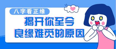 6. 常见错误案例展示（糟糕程度满分10分）