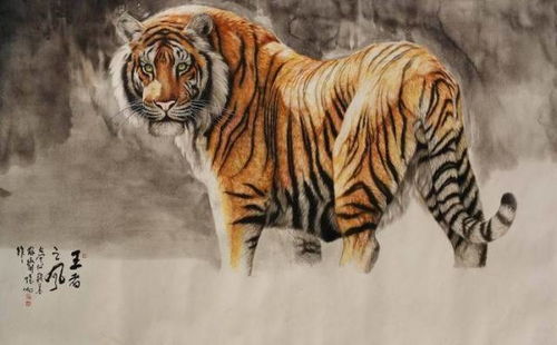 老虎兔子的微妙关系