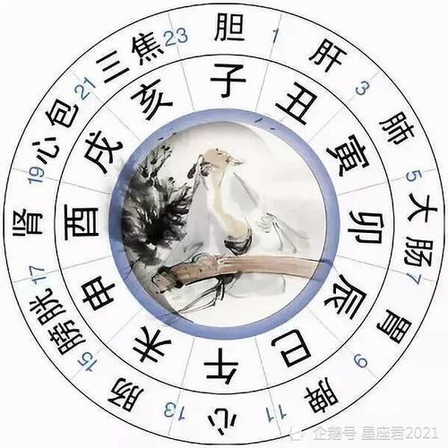 亥时：晚上9点到11点，晚运亨通
