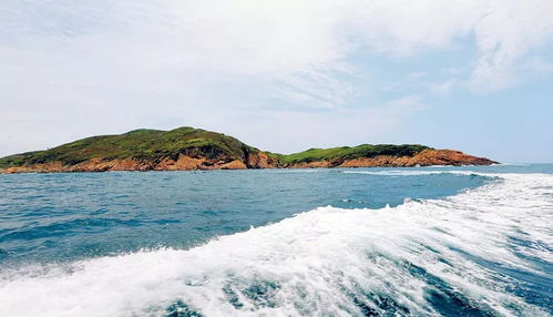 海钓乐趣
