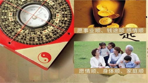 第二章：十二生肖在2025年的较大逃杀（开玩笑的）