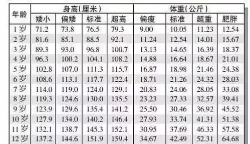 生肖与年龄：一个跨越时空的文化底蕴符号