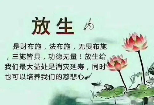 福祉与风水：从碑文到现实
