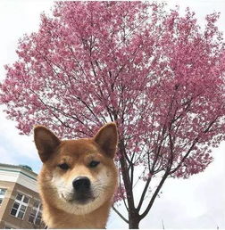 单身狗逆袭指南：这些星座不谈恋爱反而走上人生巅峰