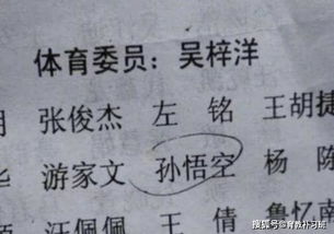 四、阎+刘组合取名提议（混搭测试室）