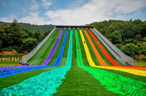 二、 噪音警报：门票价格像坐过山车一样蹦跶