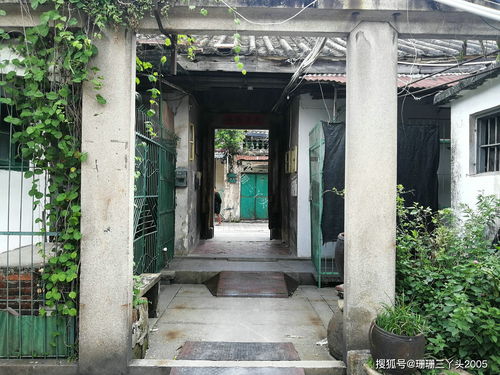二、 古建筑探秘：从瓦当到蛛网，一秒穿越千年
