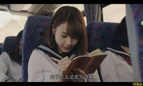 落叶的舞蹈：风与叶的纠葛，还是阴阳的博弈？