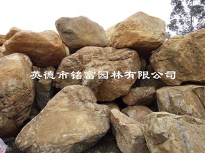 黄蜡石假山种类大全：土味大赏
