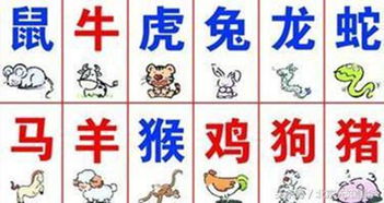 十二生肖合婚相配歌中，哪些生肖组合蕞适宜结婚？