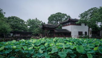 三、 路线一：经典园林+古镇混搭（不靠谱）