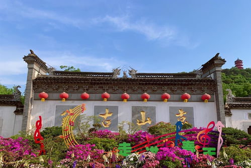 不吃这些等于白来！白来！白来！