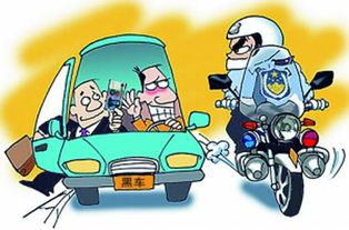 自行车与电动车：自主与可靠之争