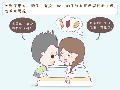 我Zuo梦生了个男孩，这是真的吗？