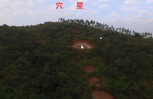 风水轮流转的兆头，龙行天下风水论坛里都有哪些具体表现？