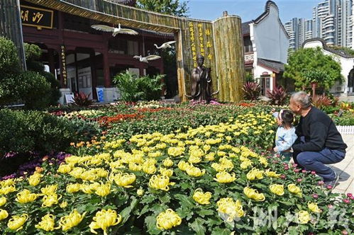 四、 噪音与情感——现场氛围超狂热