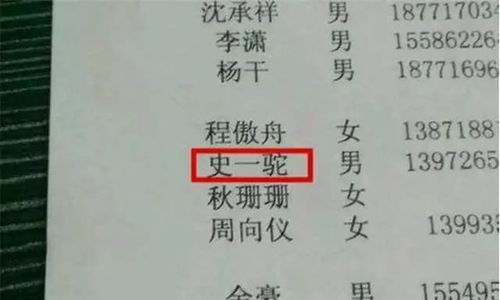 姓名学与文化底蕴底蕴：梅王二姓的独特魅力
