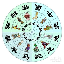 蛇龙生辰八字命理中，蛇化龙最准确的三个生肖是哪些？