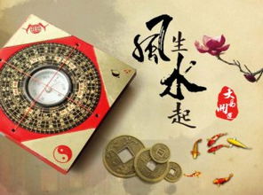 1. 木局是个什么鬼？