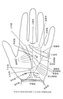 1. 木星丘与权力的渴望