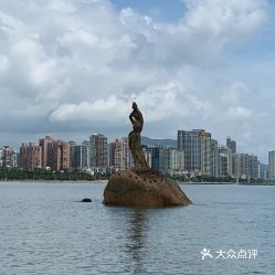 一、奇怪的热情与失落的浪潮——为什么说珠海是广东的新宠？