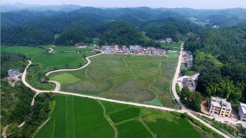 a) 五里江畜牧业示范基地