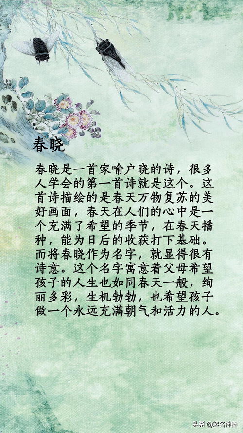充满诗情画意的颜氏名字‘雅韵’，究竟蕴含着怎样的深远意境呢？