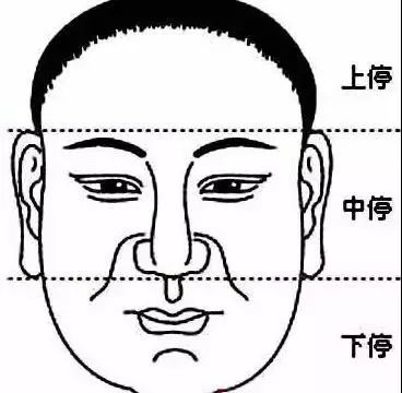 智能面相解析工具的持续发展与应用现状探讨