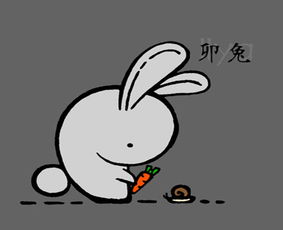 1. 五行平衡法则