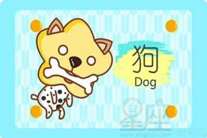属狗人2026年情感运势详解具体包括哪些方面？