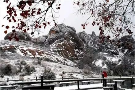 一、前言：冷风中的那一抹冲动