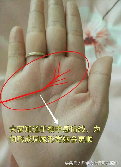手相感情线分叉到智慧线预示感情易受影响，是容易被绿吗？